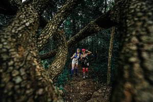 BIB: 
                            <button type="button" onclick="openModal(25697482)" class="btn btn-primary btn-sm float-right btn-popup" data-toggle="modal" data-target=".modal-high-quality">
                        <i class="fas fa-shopping-cart"></i> Add to Cart
                    </button>
                                            <button type="button" onclick="isThisMe(25697482, true)" class="btn btn-success btn-sm float-right btn-popup btn-isme hidden" data-toggle="tooltip" data-placement="bottom" title="นี่คือรูปของคุณใช่ไหม คลิกที่นี่เพื่อเอาเข้าอัลบั้ม">
                        <i class="fas fa-plus"></i> Add to album
                    </button>
                    <button type="button" onclick="isThisMe(25697482, false)" class="btn btn-warning btn-sm float-right btn-popup btn-isnotme hidden">
                        <i class="fas fa-ban"></i> Remove from album
                    </button>